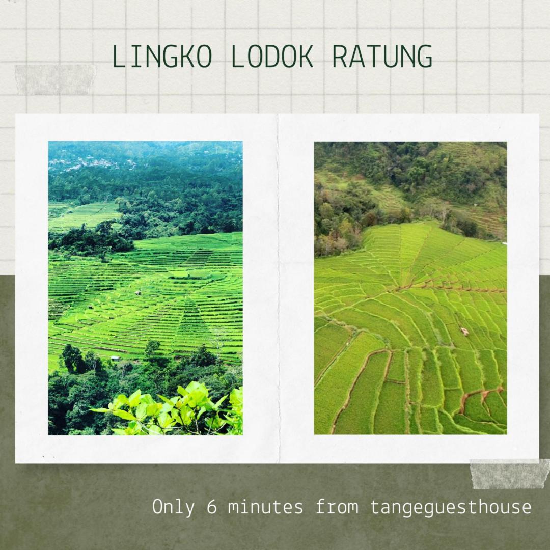 Tange Guest House Ruteng Esterno foto